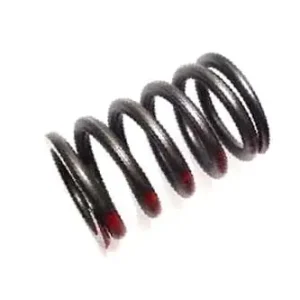 3055060R1 Sprężyna zaworu CASE Bestseller