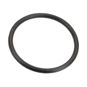 3131661R1 Oring Tani